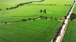 Freebairn's family farm in the Lower North off to auction after 150 years