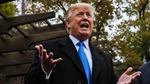 US court drops a bombshell in ruling most of Donald Trump's tariffs illegal