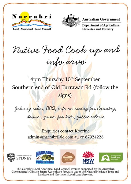 Native Food Cook Up and info arvo