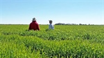 Investors asked to look again at two cropping ventures back on the market