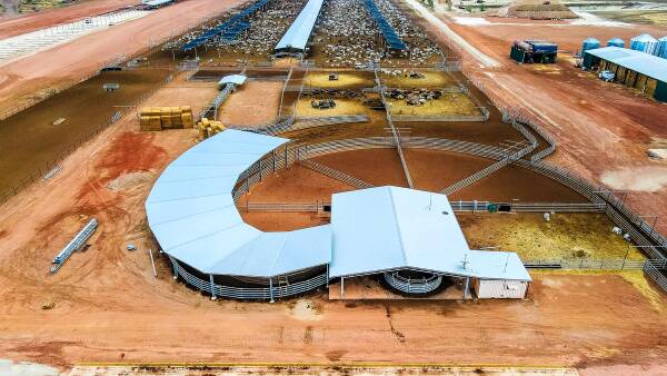 Two more NT cattle stations up for sale while a third has sold for $26 million