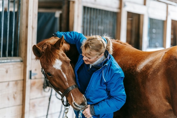 Equine Therapy: Harnessing the Healing Power of Horses for Personal Growth