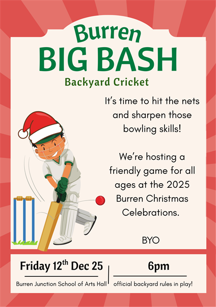 Burren Big Bash Backyard Cricket