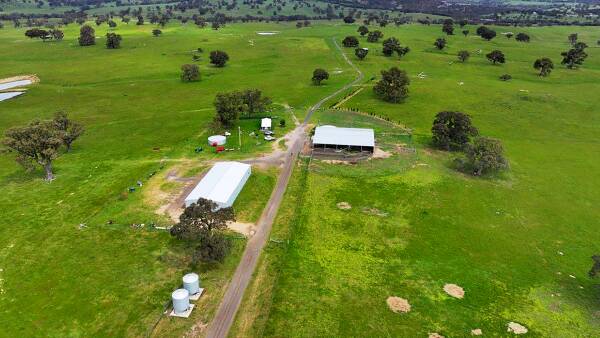 Much improved Elphinstone grazing farm lists for $10.5 million sale